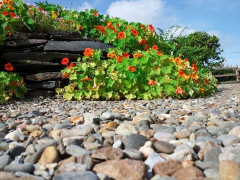 Brynhaul Bed And Breakfast Maenclochog Kültér fotó